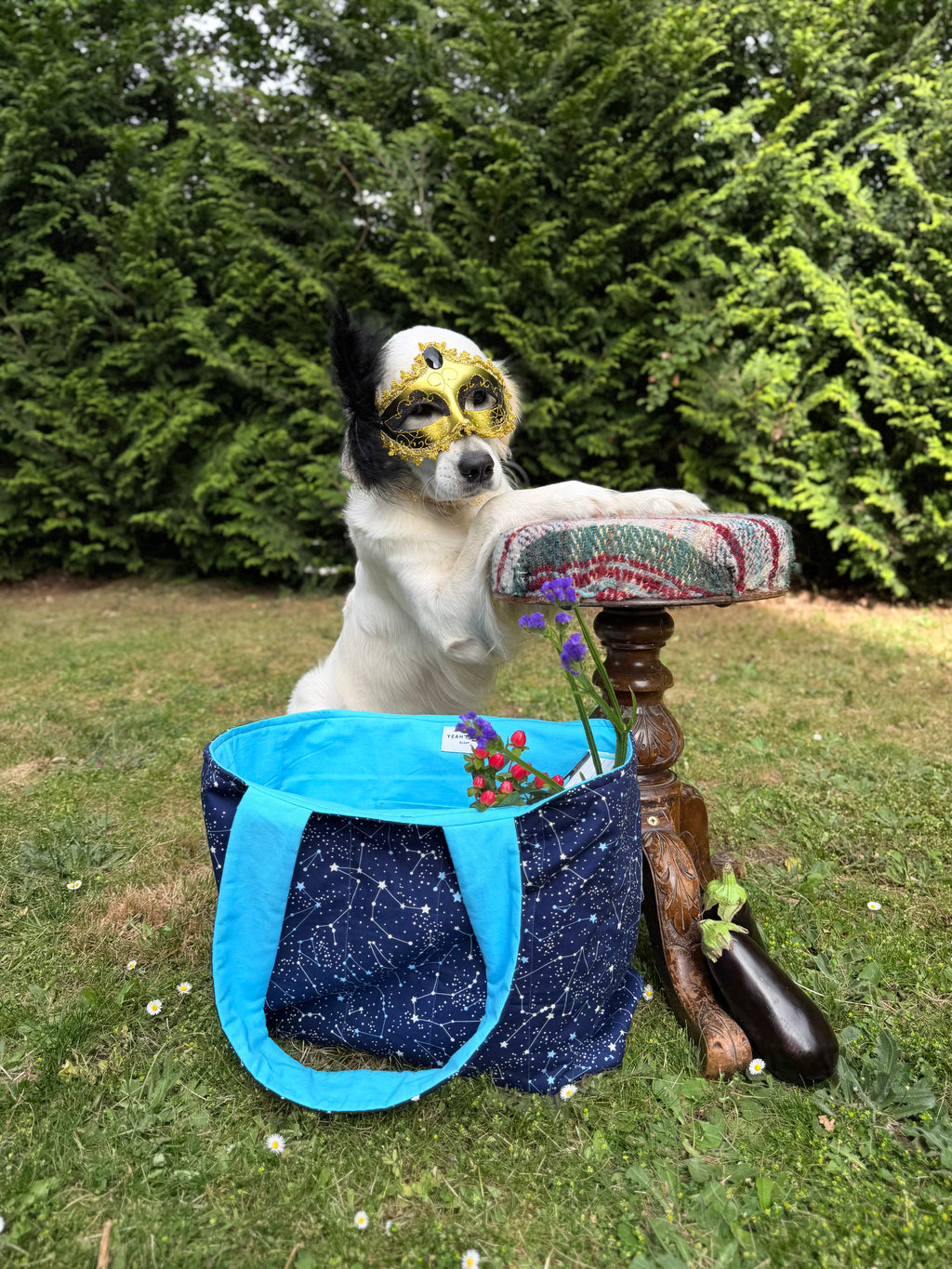 The Stargazer Tote