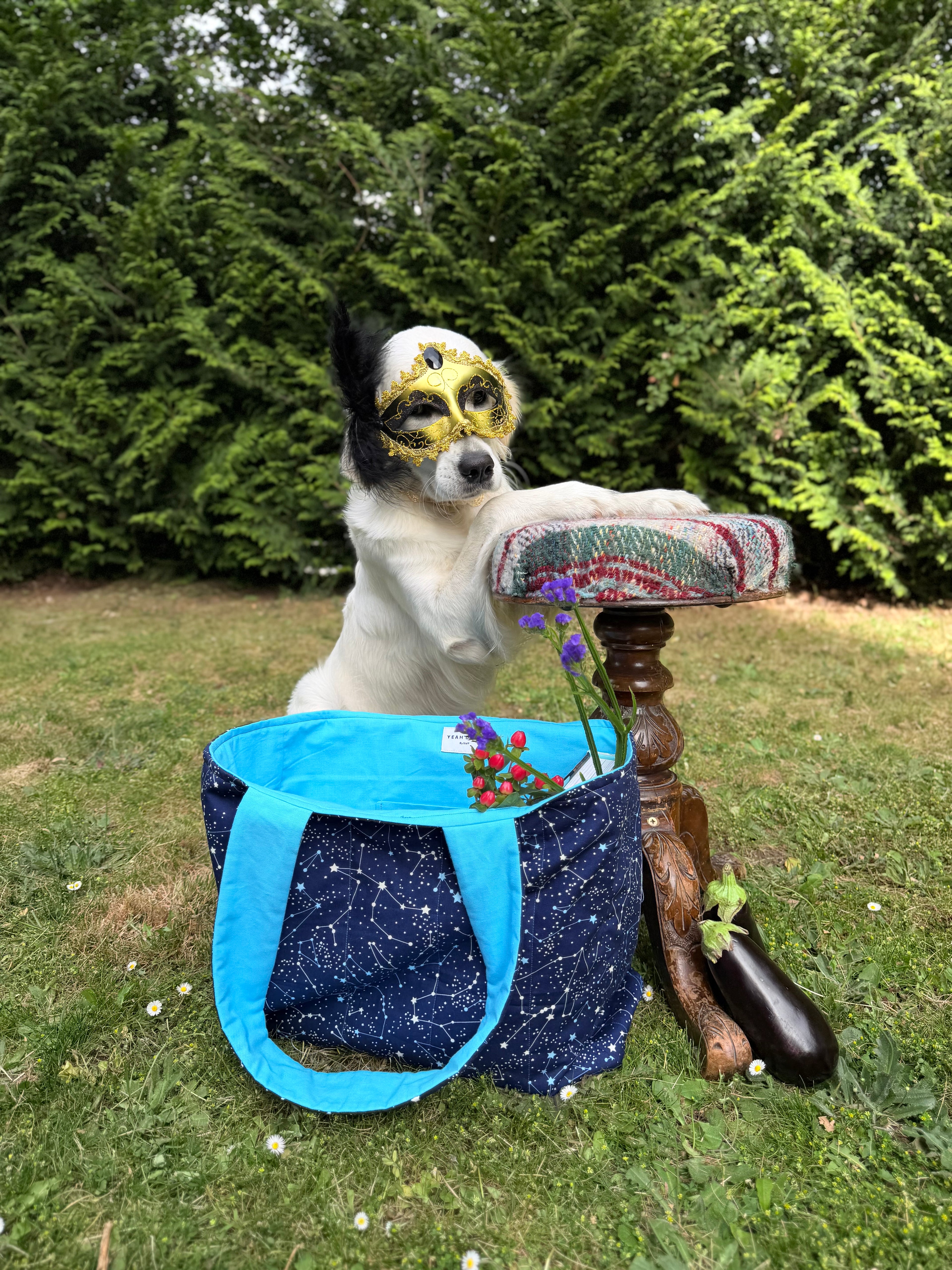 The Stargazer Tote